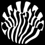 SOULFUL - HOUSE - JACKIN - AFRO - JAZZ - 100 HQ TRACKS
